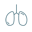 This is an icon of a pair of lungs.