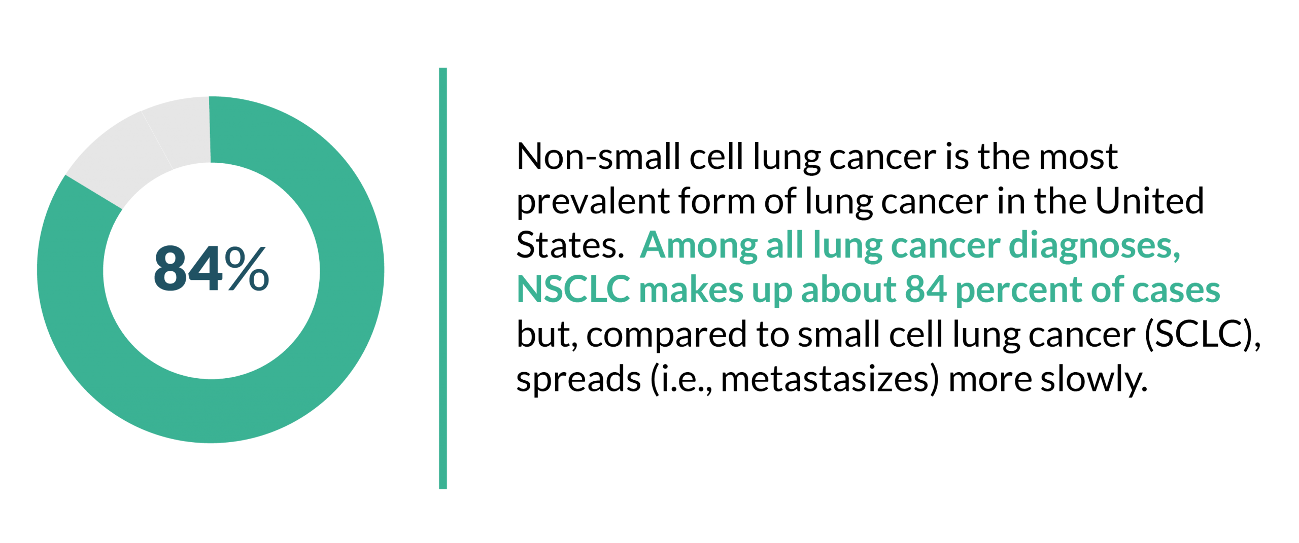 Small Cell Lung Cancer Guide, Understanding SCLC