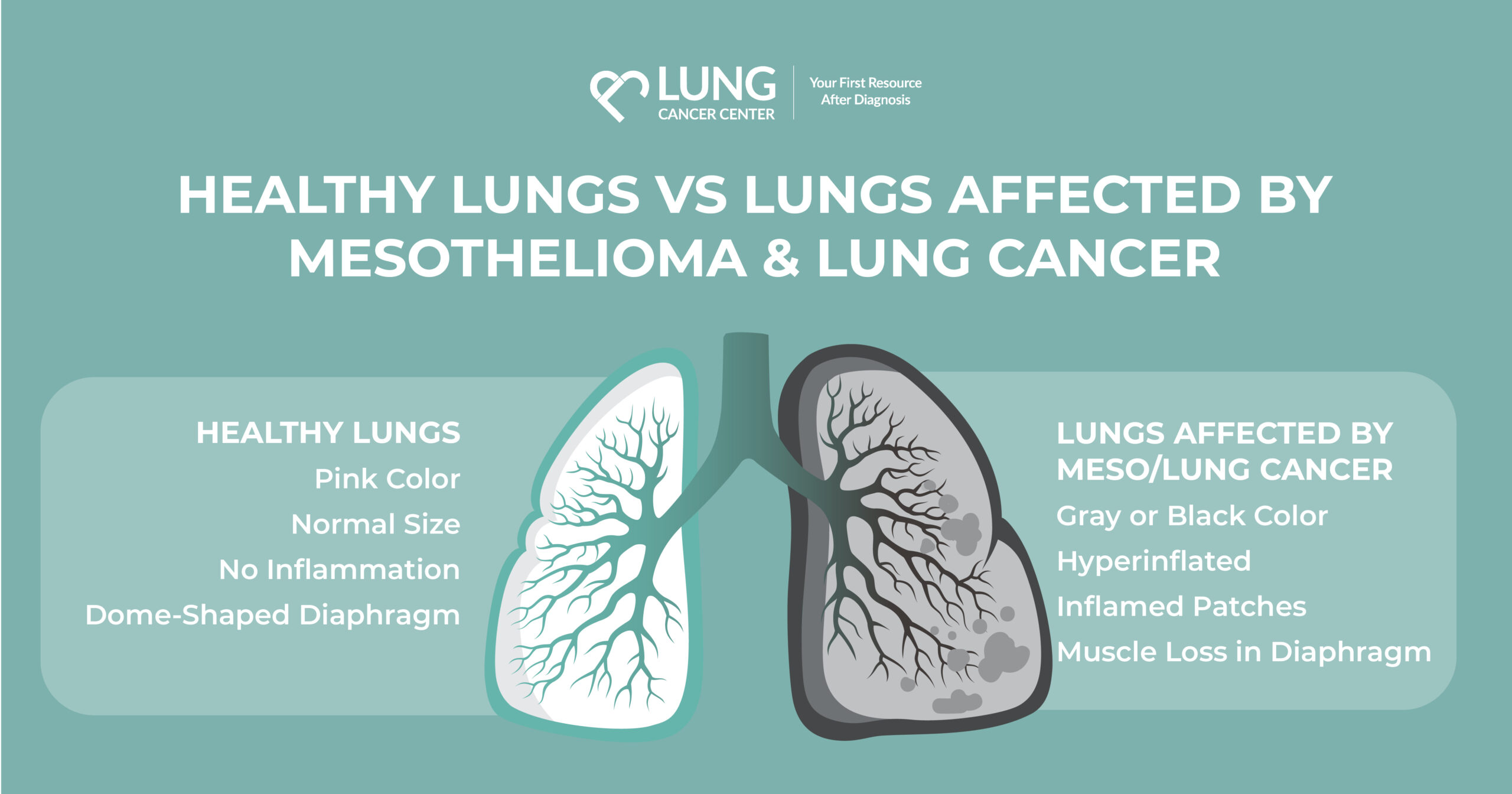 An infographic of health lungs on the left side and unhealthy lungs on the right. 