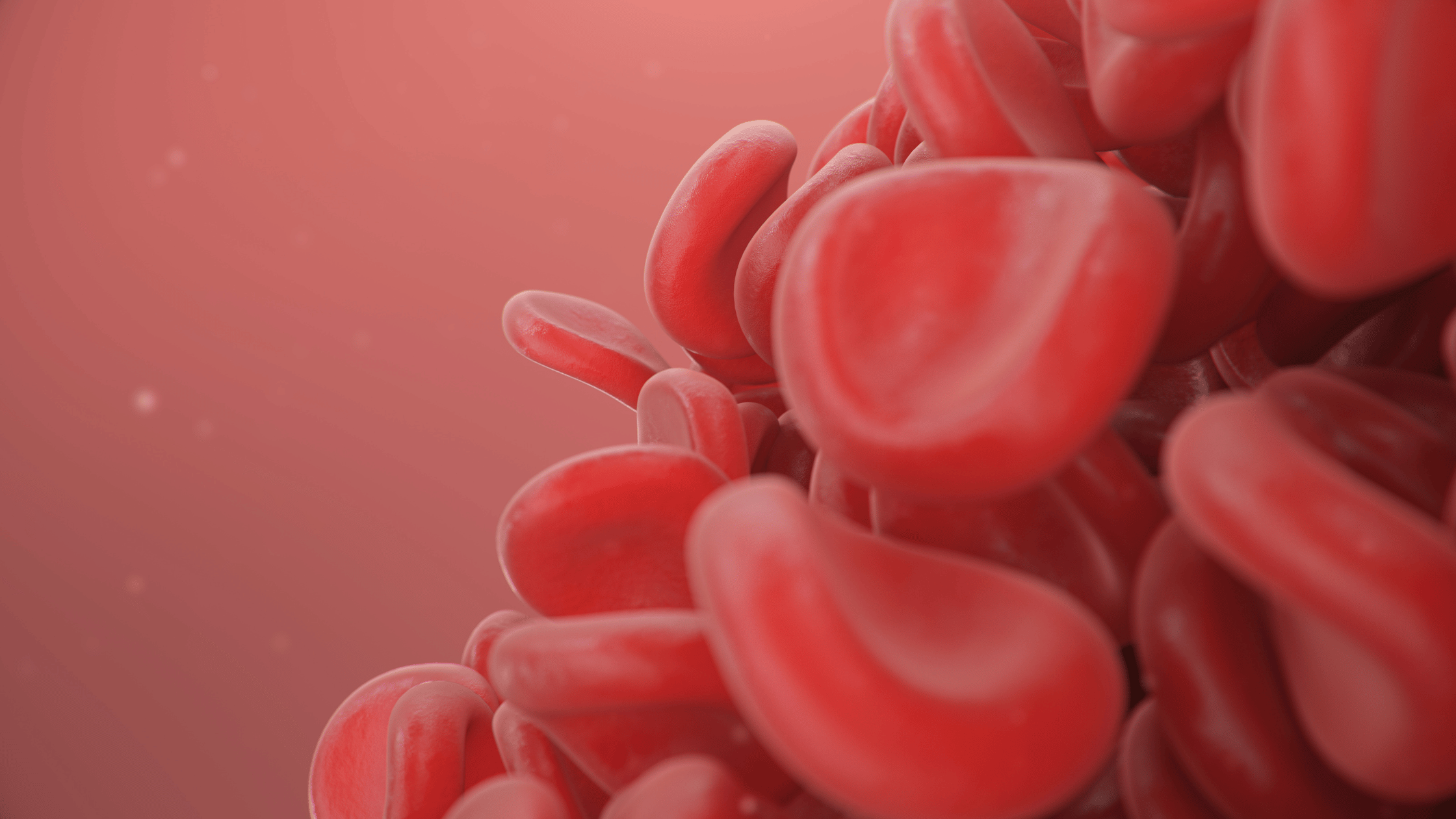 Red blood cells blood clot lung cancer