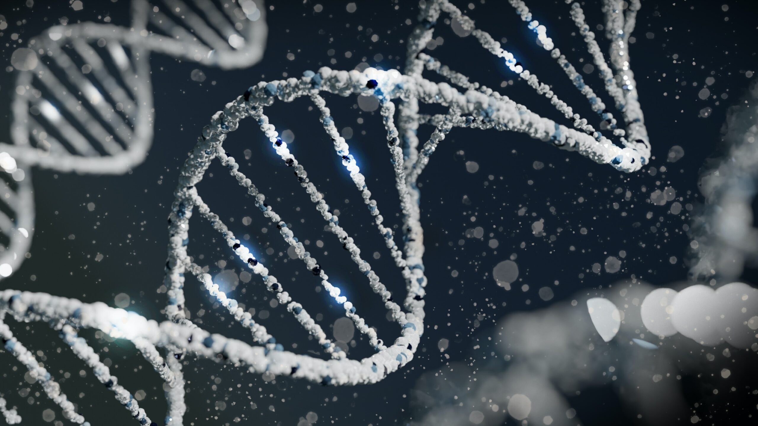 A DNA sequence exploring lung cancer and their hereditary genes.