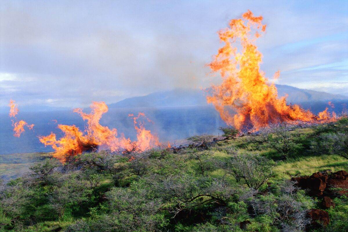 Maui Wildfires erupting causing chemical exposure.